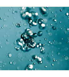 Slim Liquid Damage Inspection